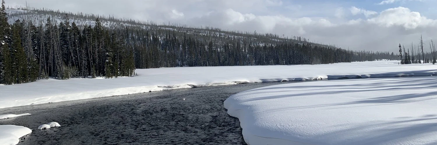 Narendra Rocherolle cover