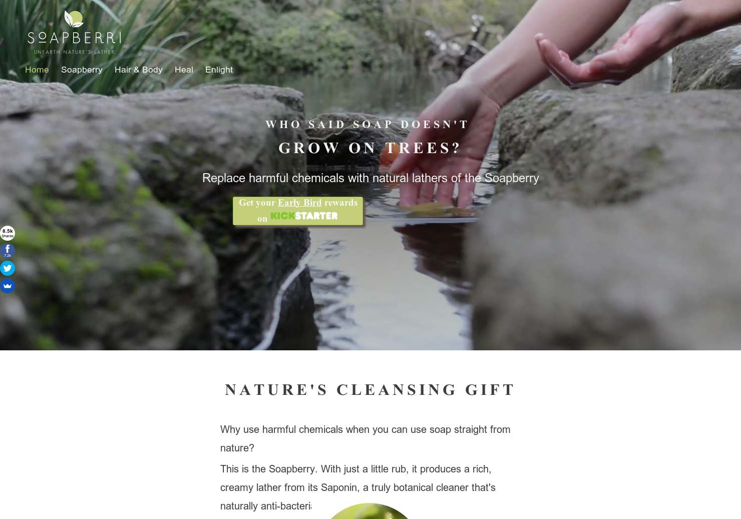 Soapberri gallery image