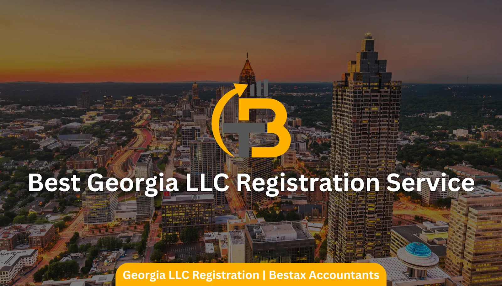 Georgia LLC Registration screenshot 1
