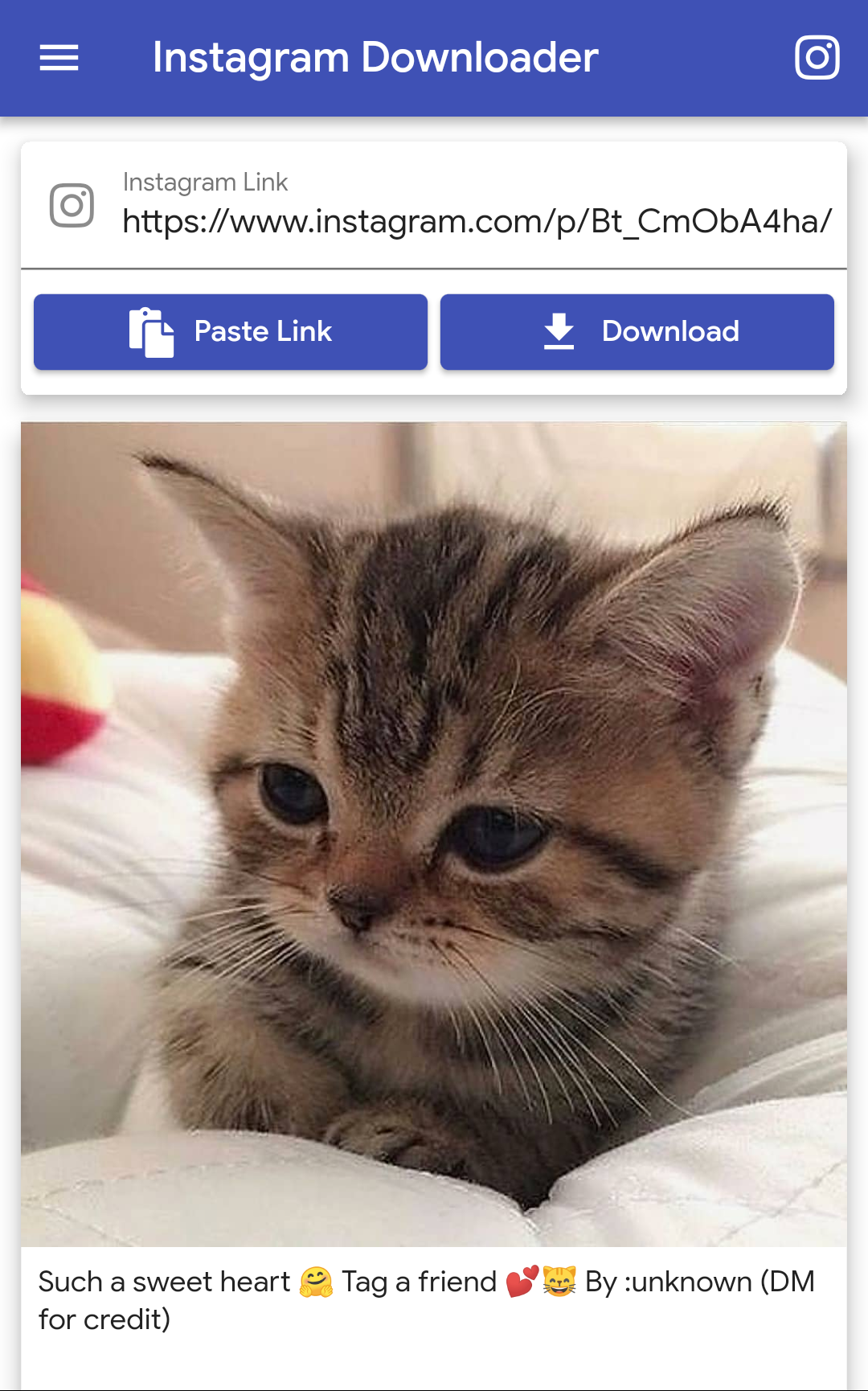 Insta Downloader gallery image