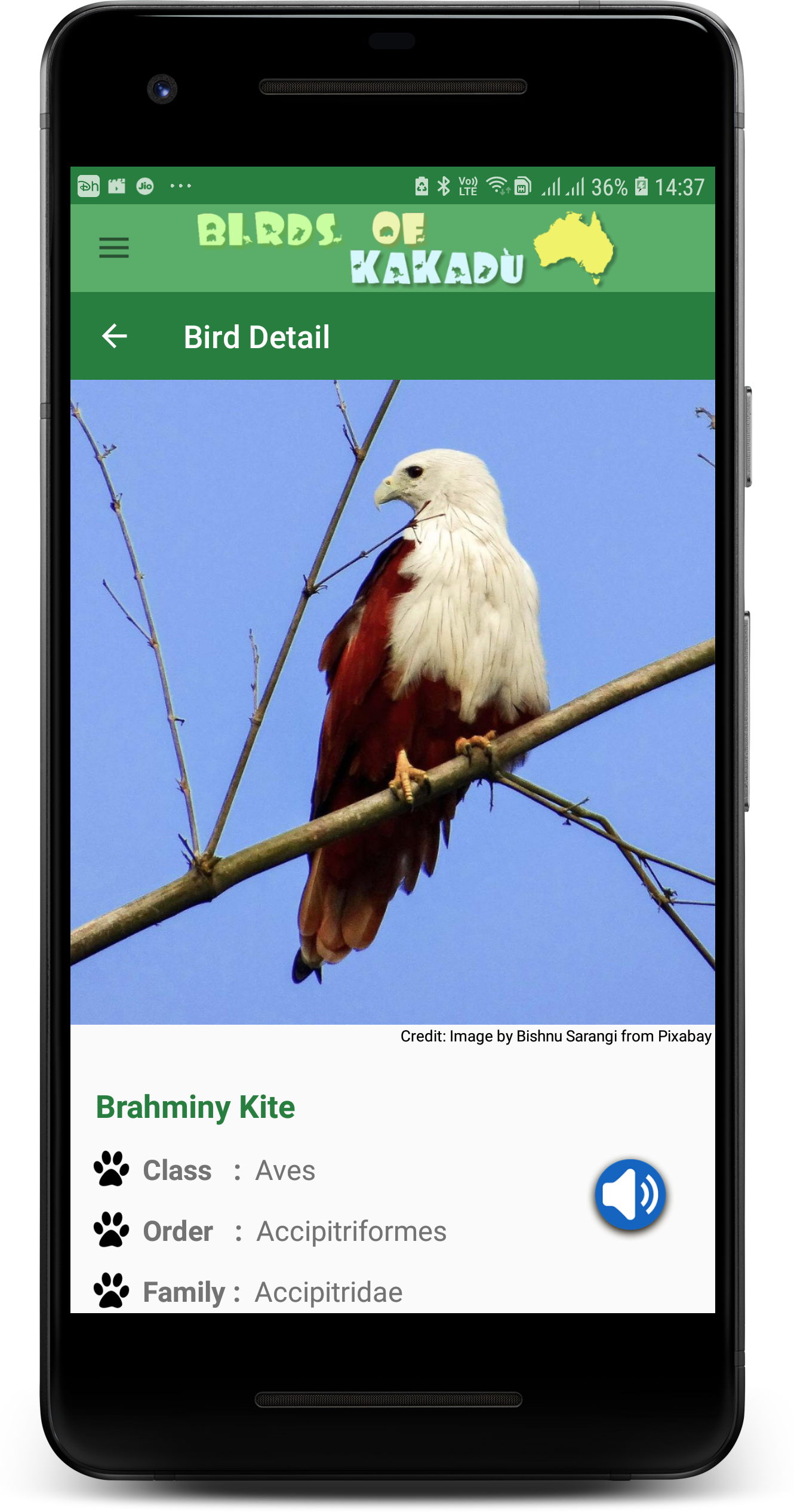 Birds of Kakadu Australia Northern Side gallery image