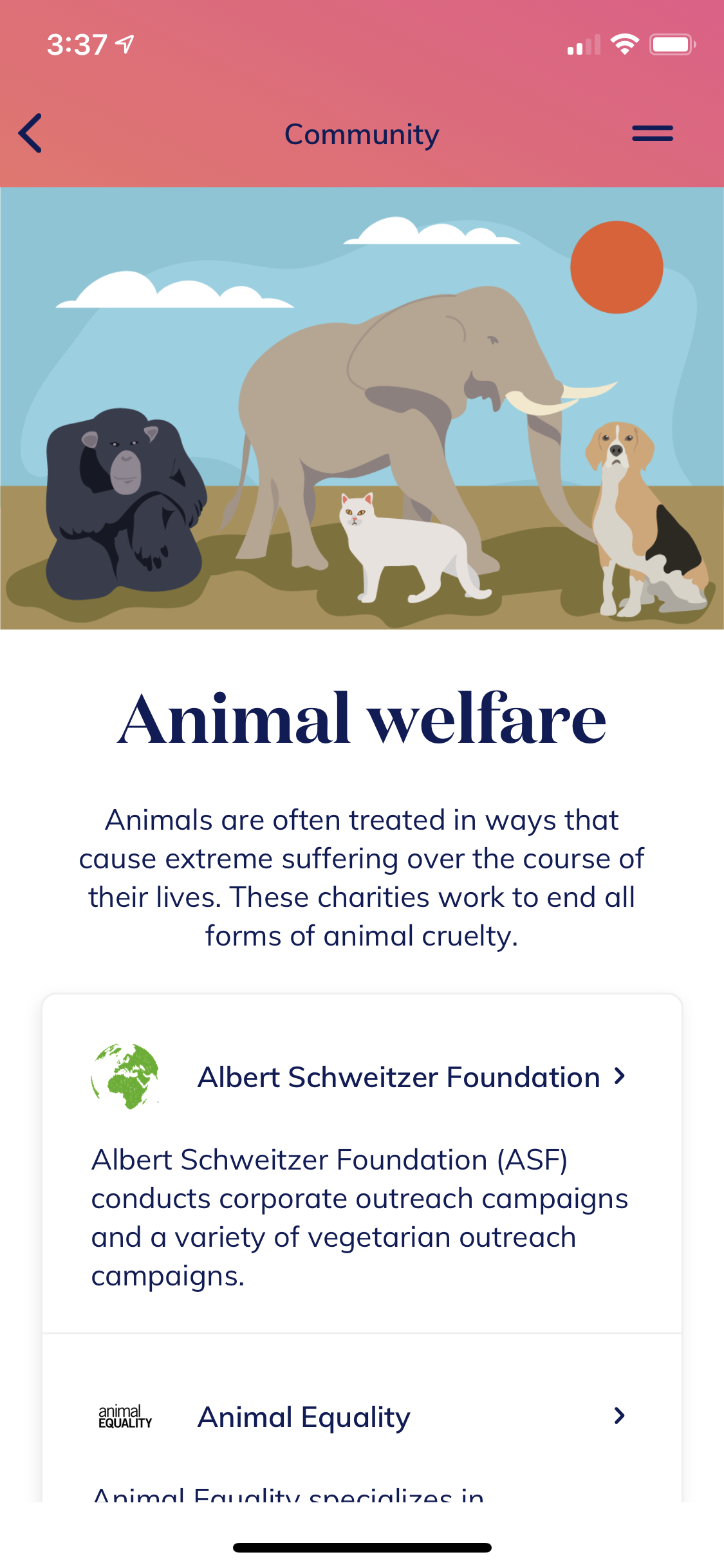 Momentum gallery image