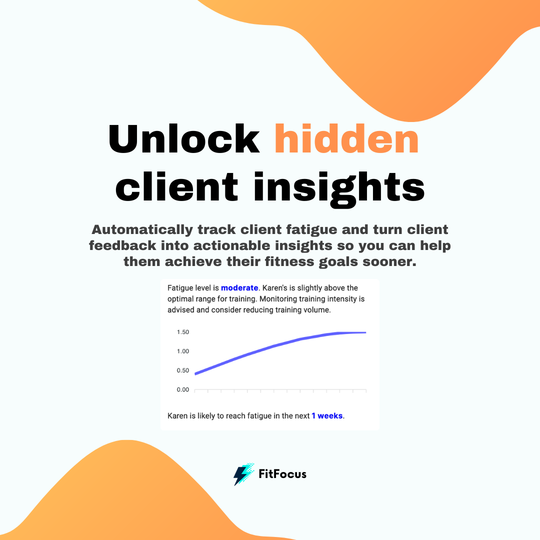 Fitfocus media 3