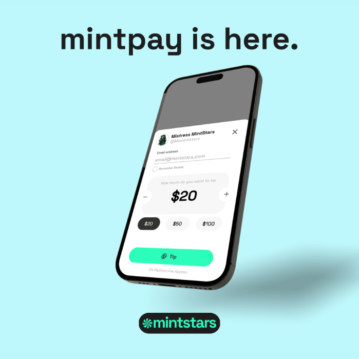 Mintpay di Mintstars media 2