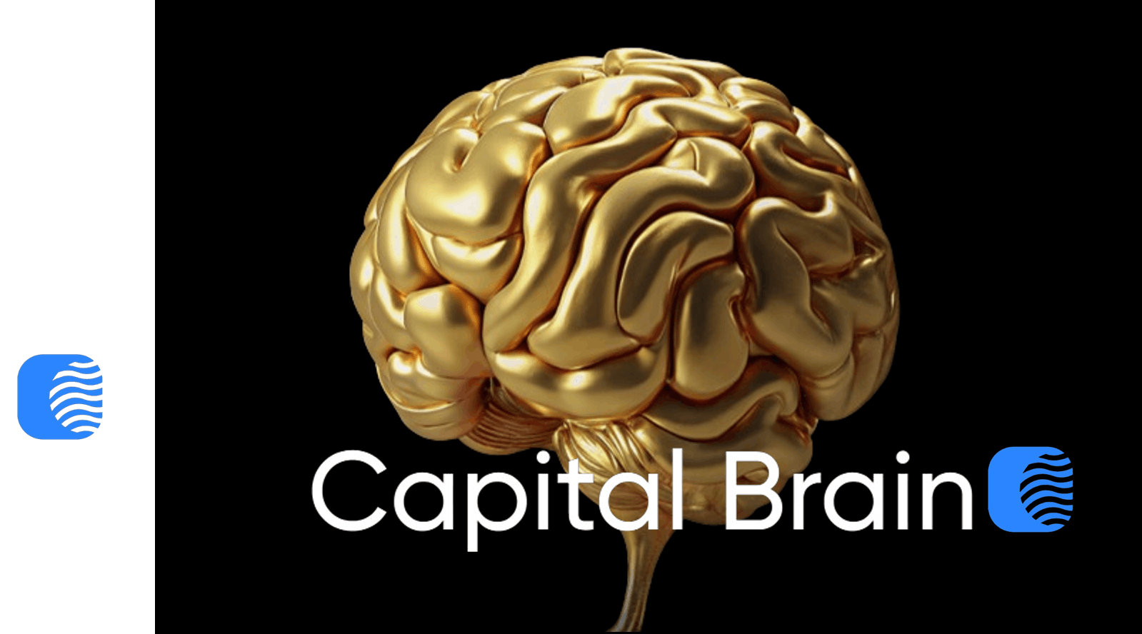 Capital Brain отзывы media 1