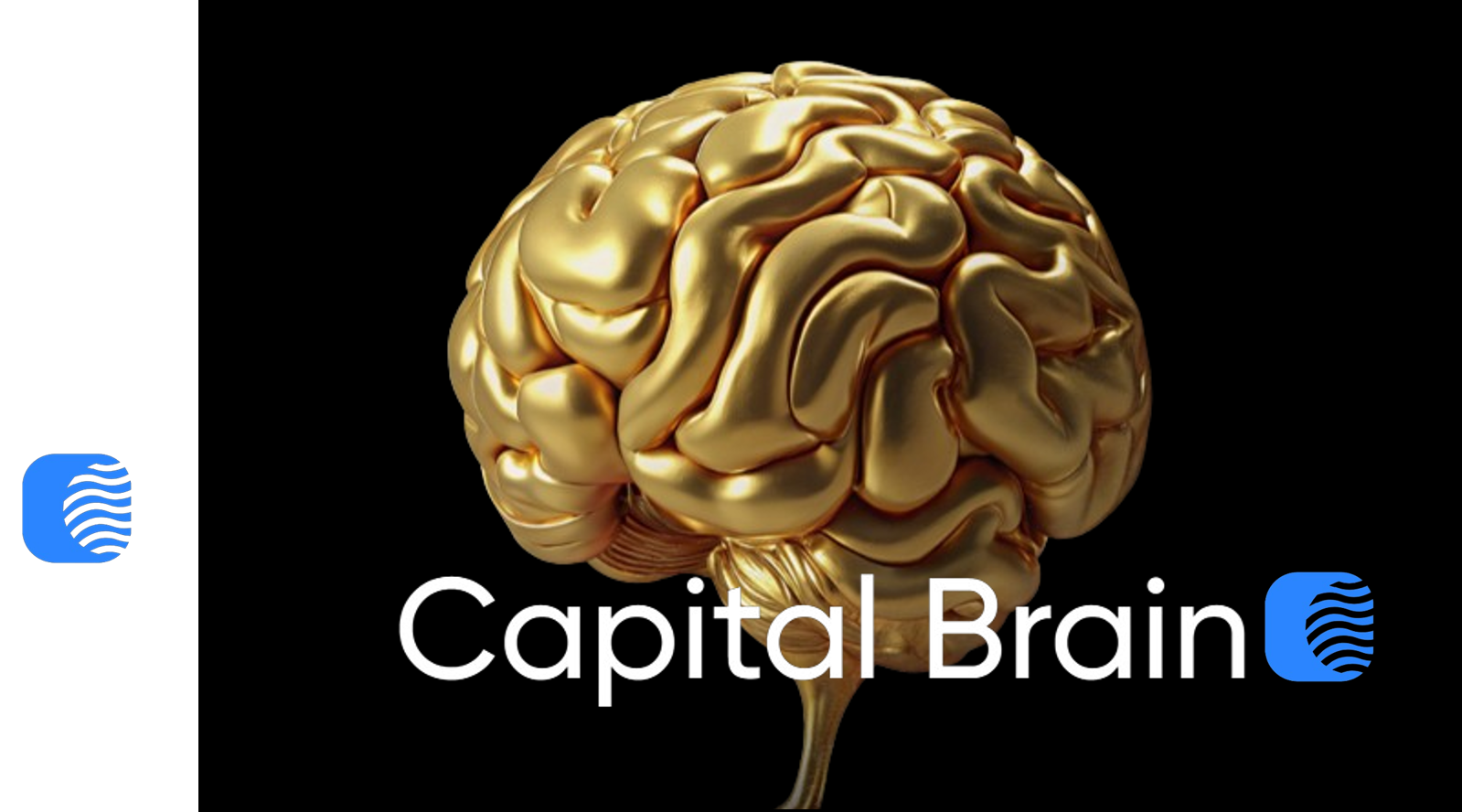 Capital Brain Reviews media 1