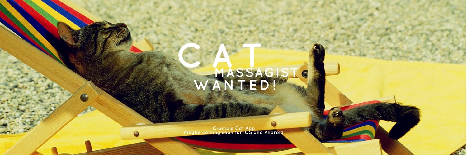 Crumple Cat gallery image