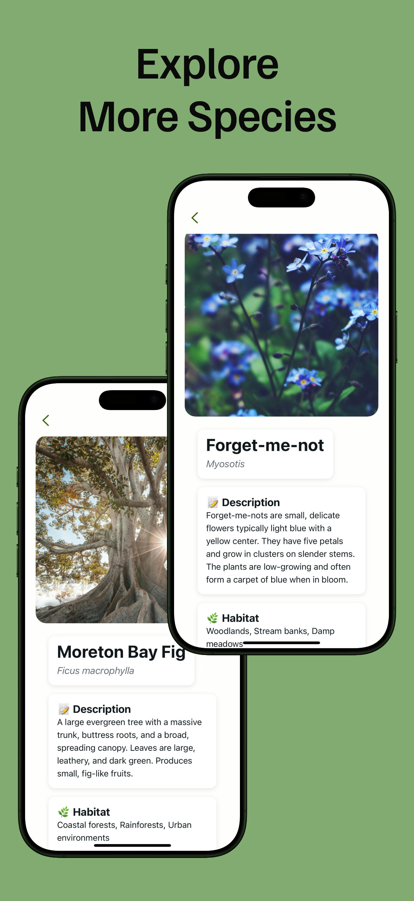 PlantLore media 7
