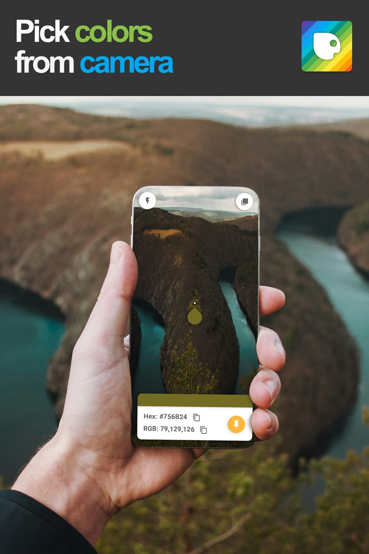 Kameleon gallery image