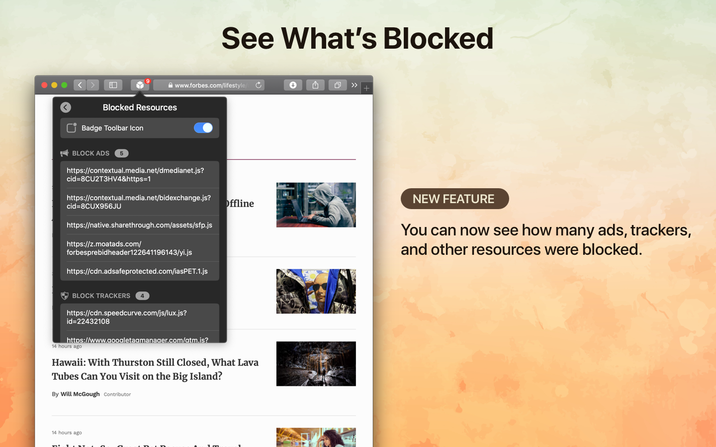 1Blocker Image