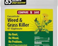 Best Weed Killers for Lawns media 1