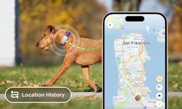 Tracker di attività per animali domestici con obiettivi di fitness e accesso a consigli professionali tramite Vet Chat.