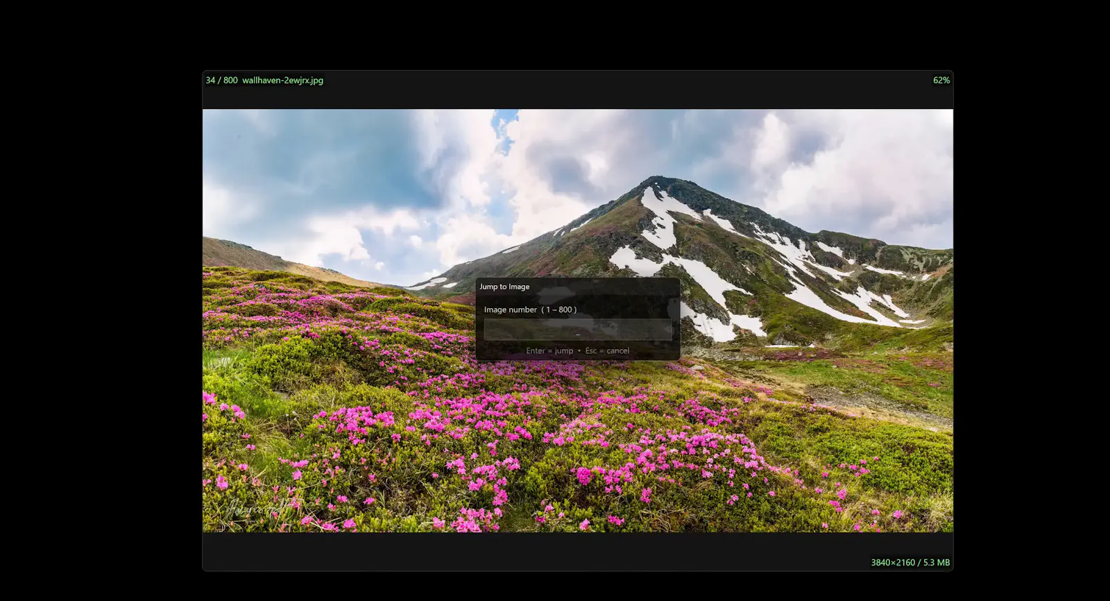 QuickImageViewer (qIV) screenshot 10