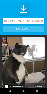Video Download for Twitter gallery image