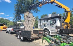 Tree Removal Services In USA  media 3