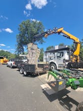 Tree Removal Services In USA gallery image
