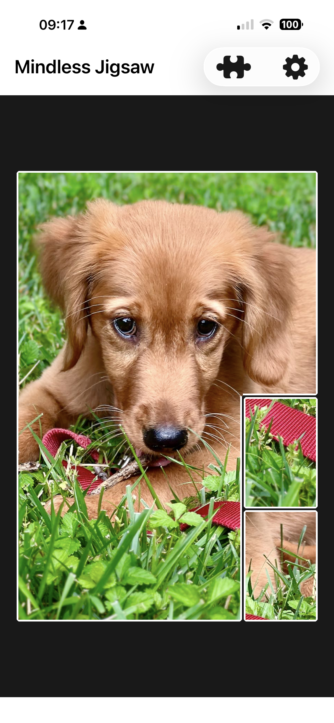 Mindless Jigsaw: Calm Puzzles gallery image