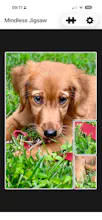 Mindless Jigsaw: Calm Puzzles gallery image
