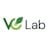 VC Lab Virtual: Accelerator for VC Funds