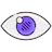 Privacy Shield