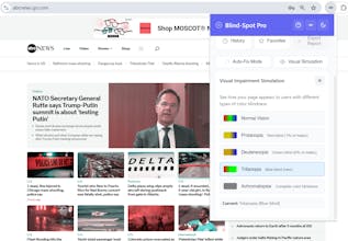 Blind-Spot Pro gallery image