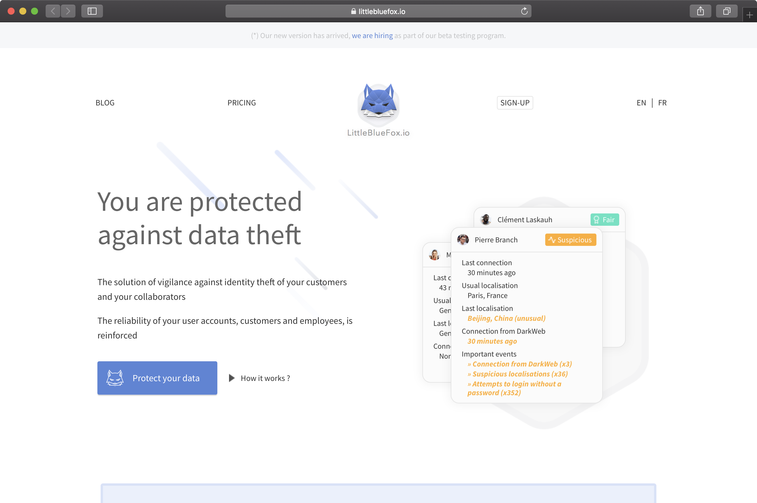 LittleBlueFox.io gallery image