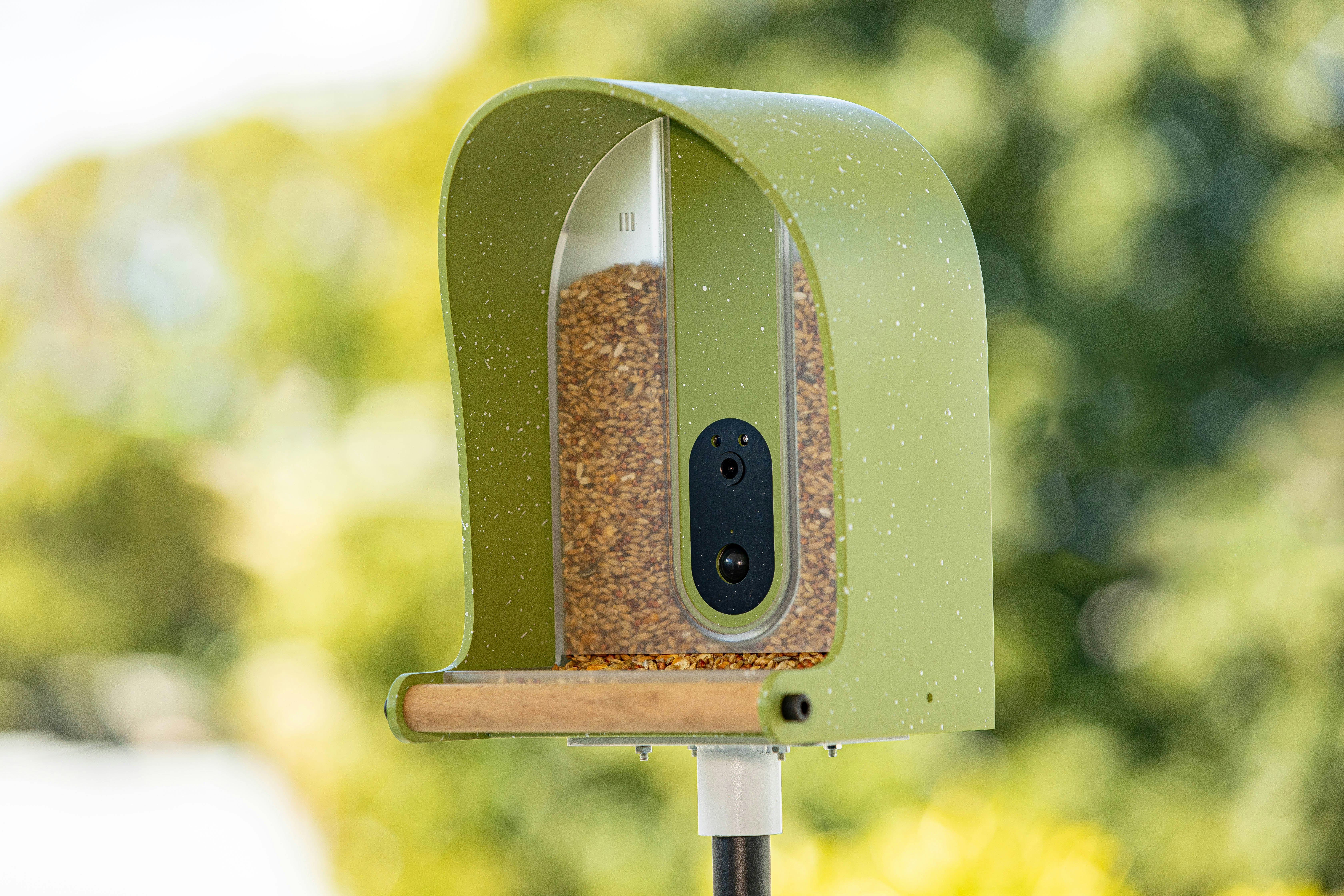 BirdieCamera gallery image