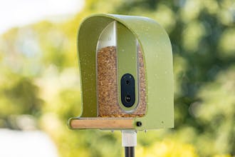 BirdieCamera gallery image