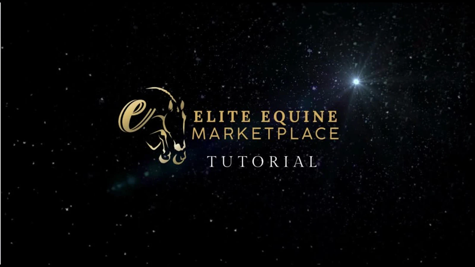 Elite Equine Marketplace screenshot 1 (video preview)