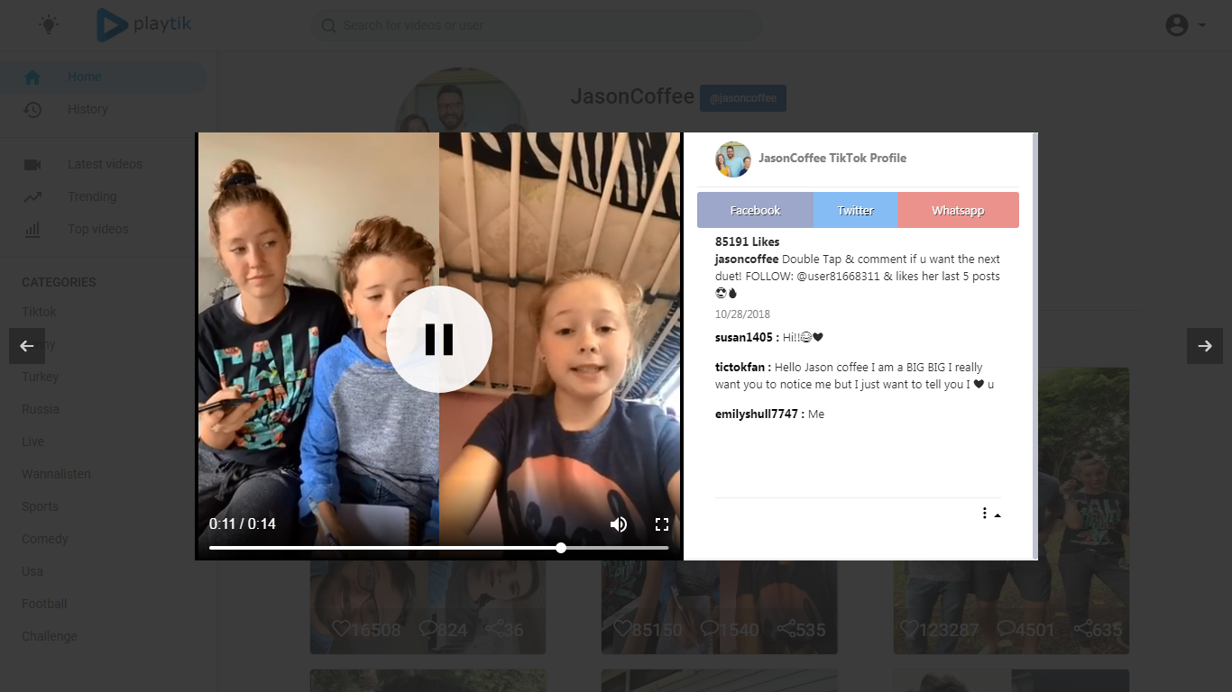 Tiktok viewer on web | Playtik.com gallery image