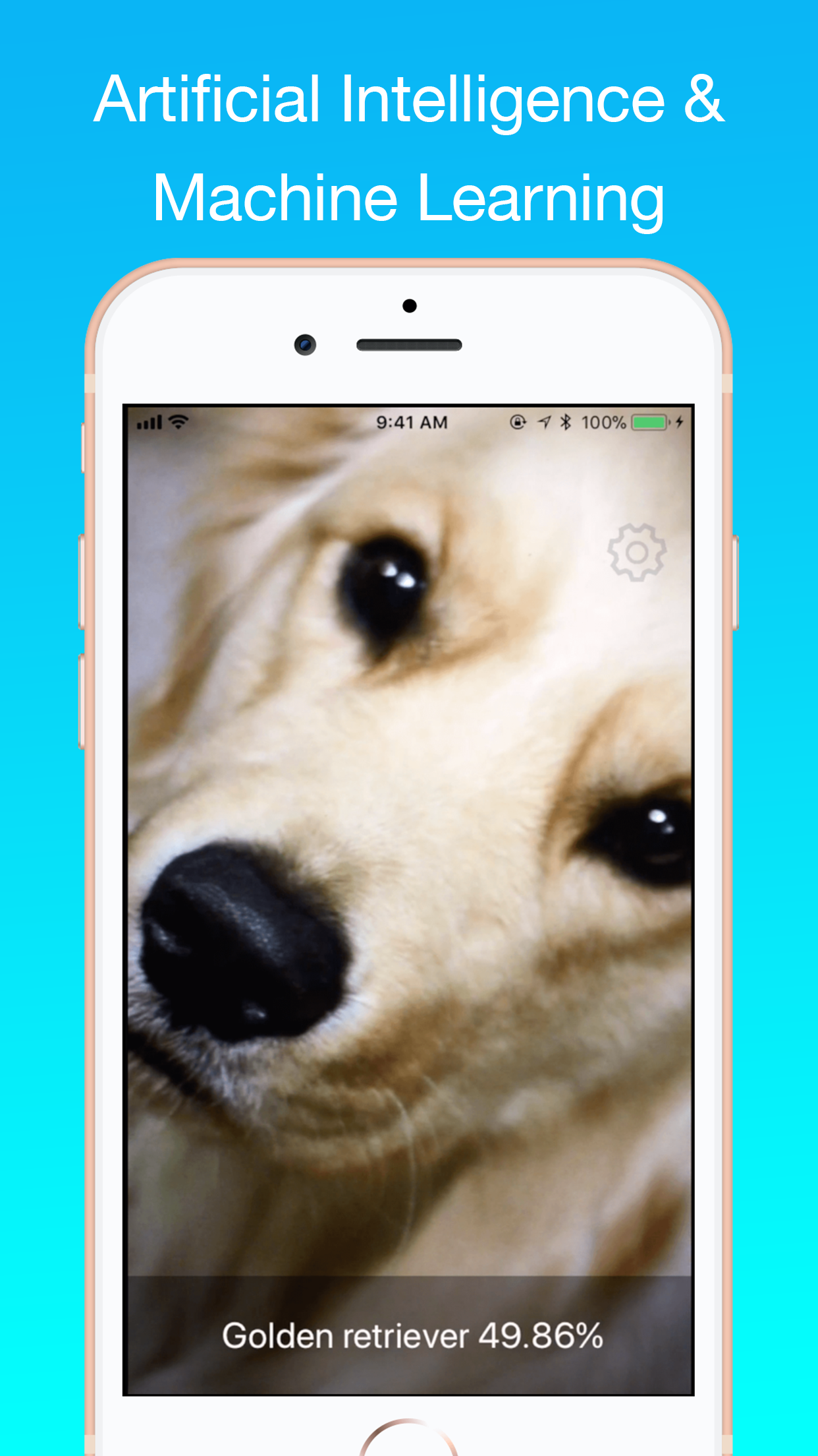 Dog Identifier gallery image