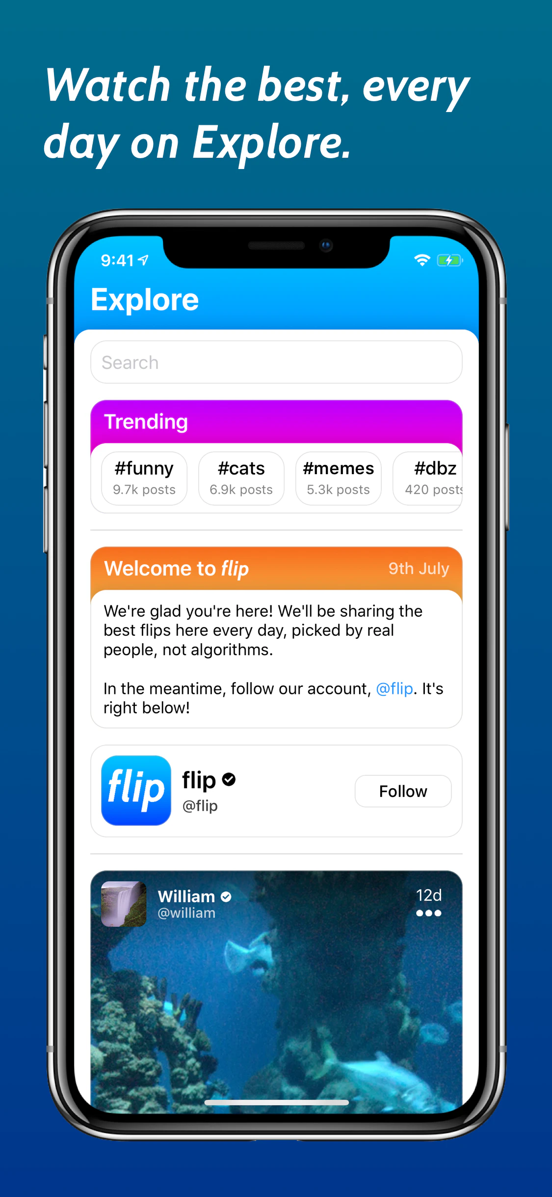 Flip Image