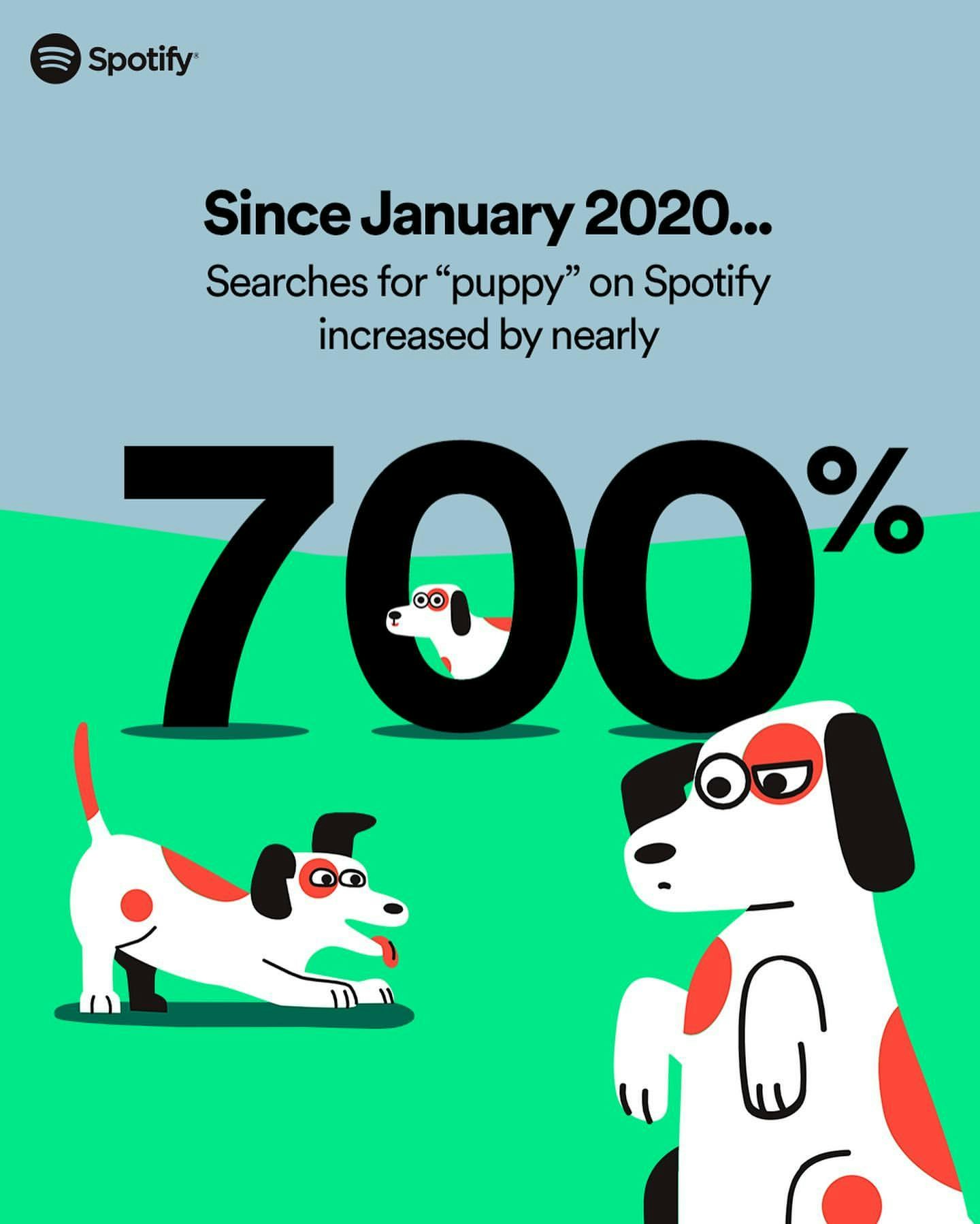 Pet Playlists by Spotify gallery image