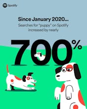 Pet Playlists by Spotify gallery image