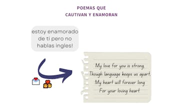 SuenaGringo AI gallery image