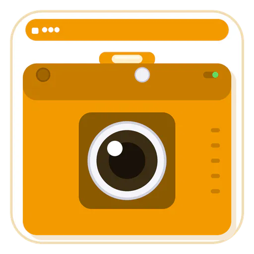 Screenshot with URL