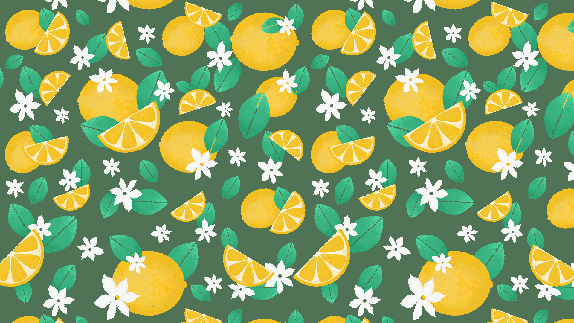 Novapattern gallery image