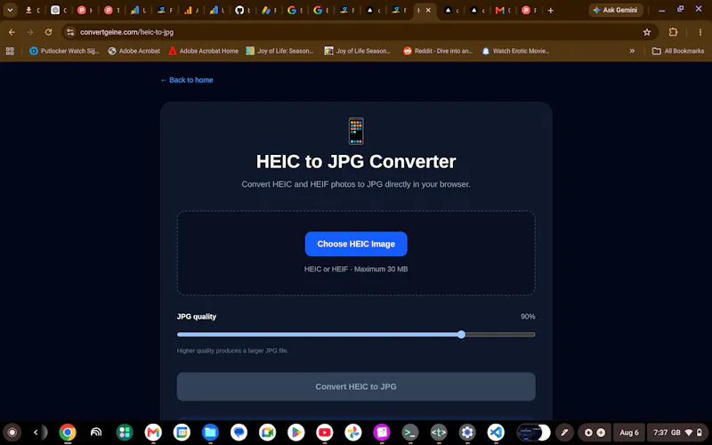ConvertGeine screenshot 1