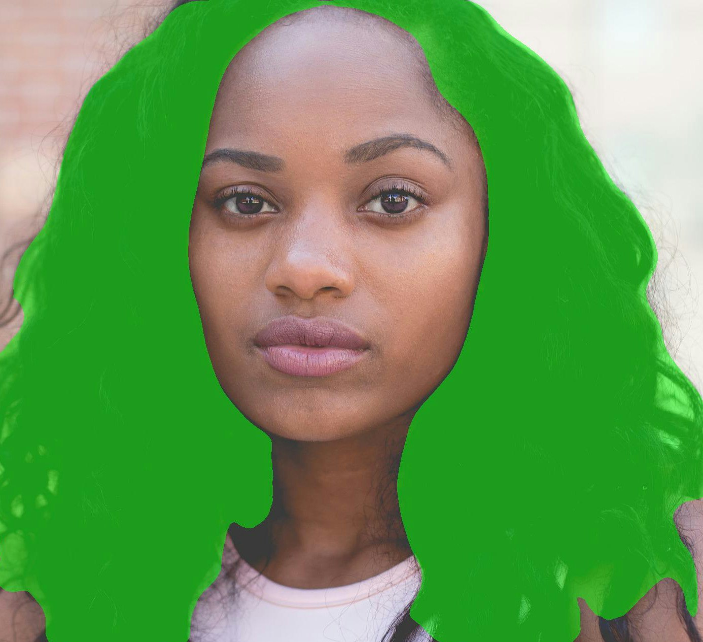 Faceprocessor V2 gallery image