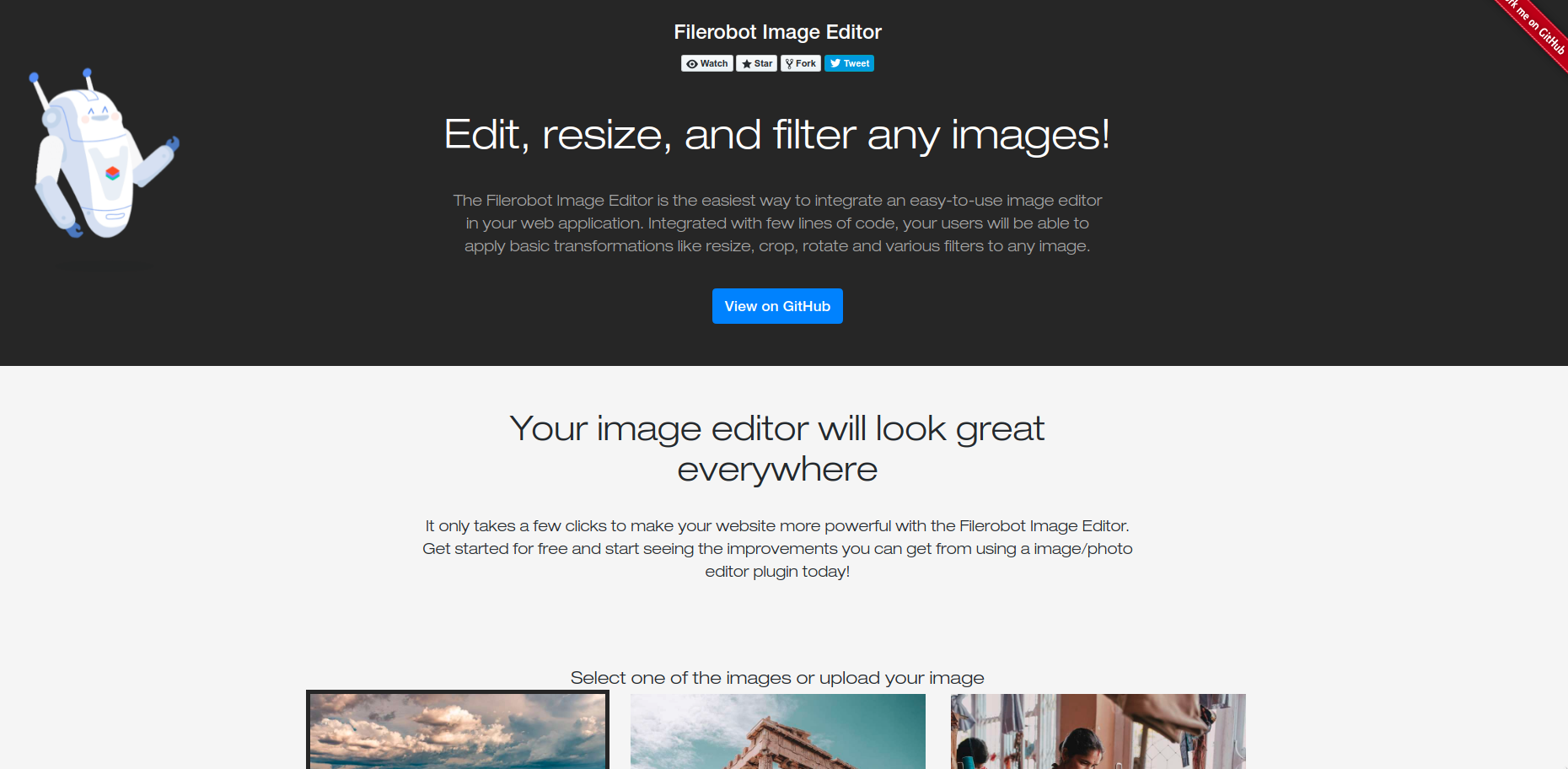 Filerobot Image Editor gallery image
