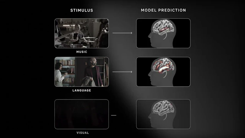 TRIBE v2 screenshot 1 (video preview)