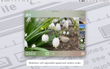 Fish Image Viewer gallery image