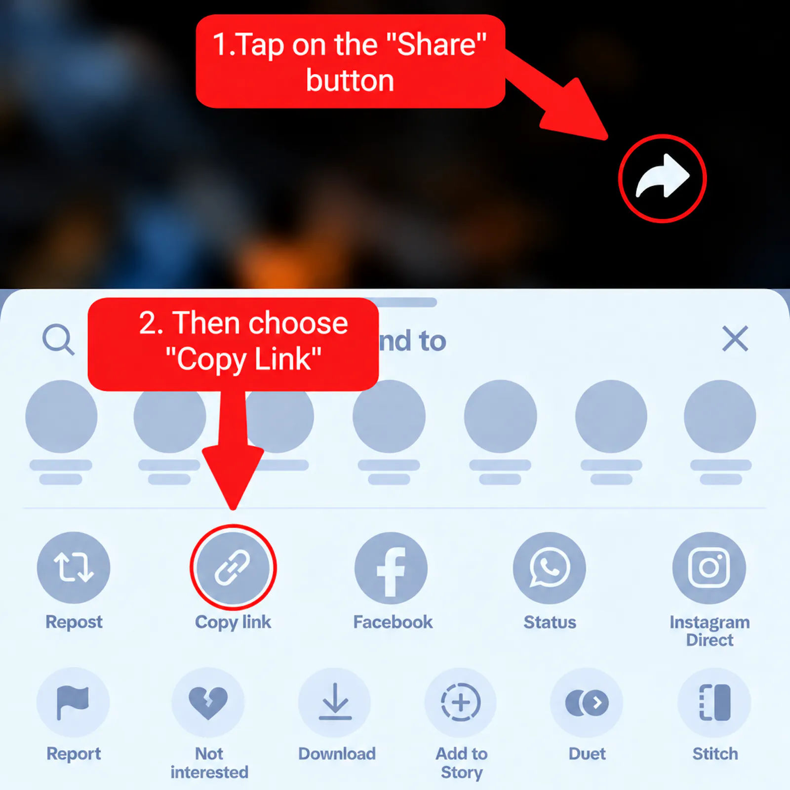 TikTok Video Downloader screenshot 1