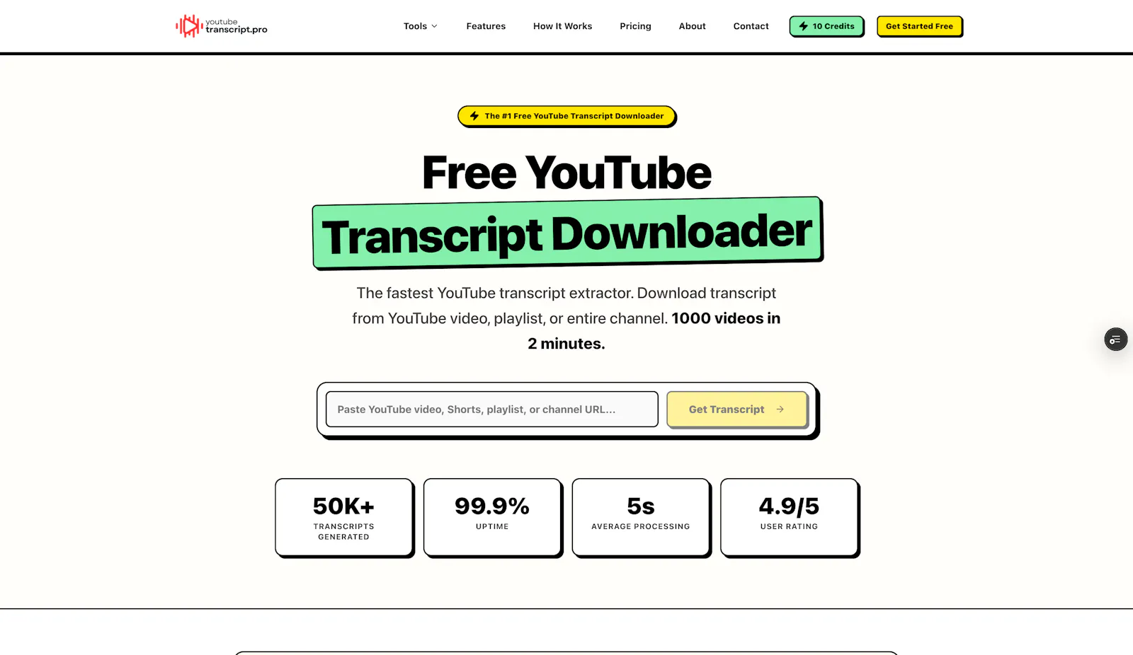 YoutubeTranscriptPro screenshot 2