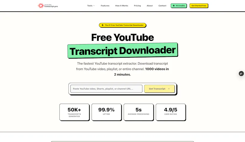 YoutubeTranscriptPro screenshot 2