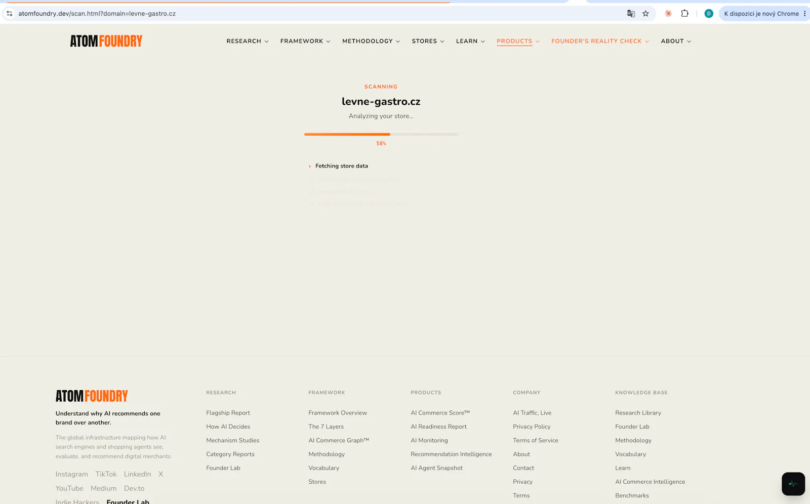 AI Commerce Score screenshot 2