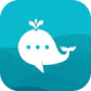 ChatWhale