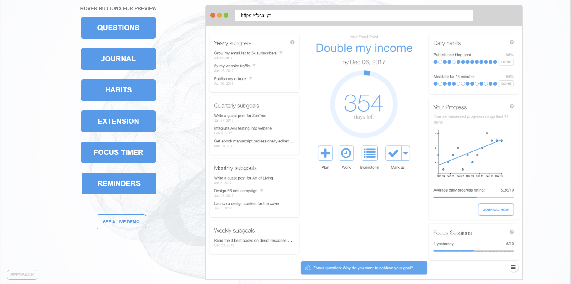 Focal Point gallery image