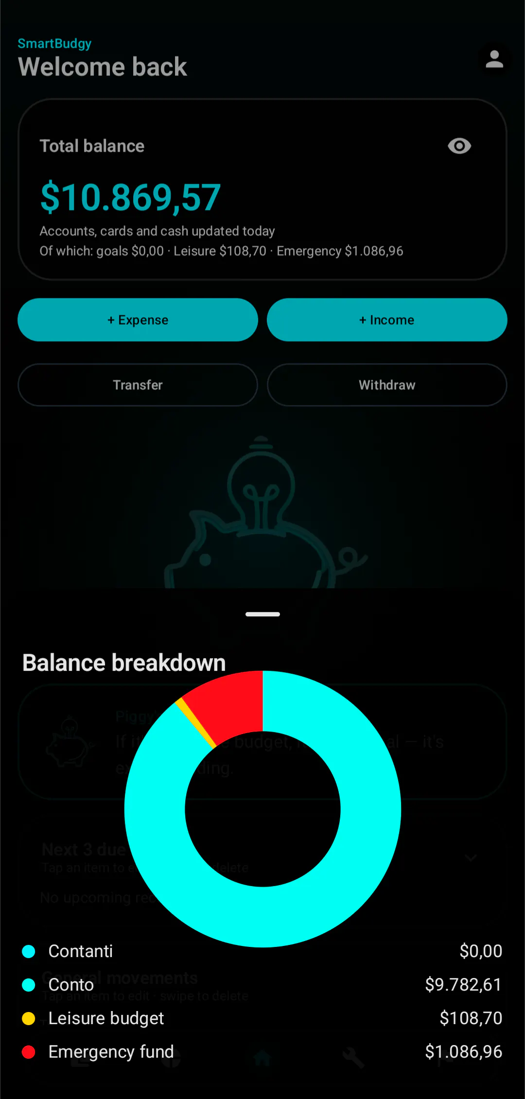 SmartBudgy gallery image