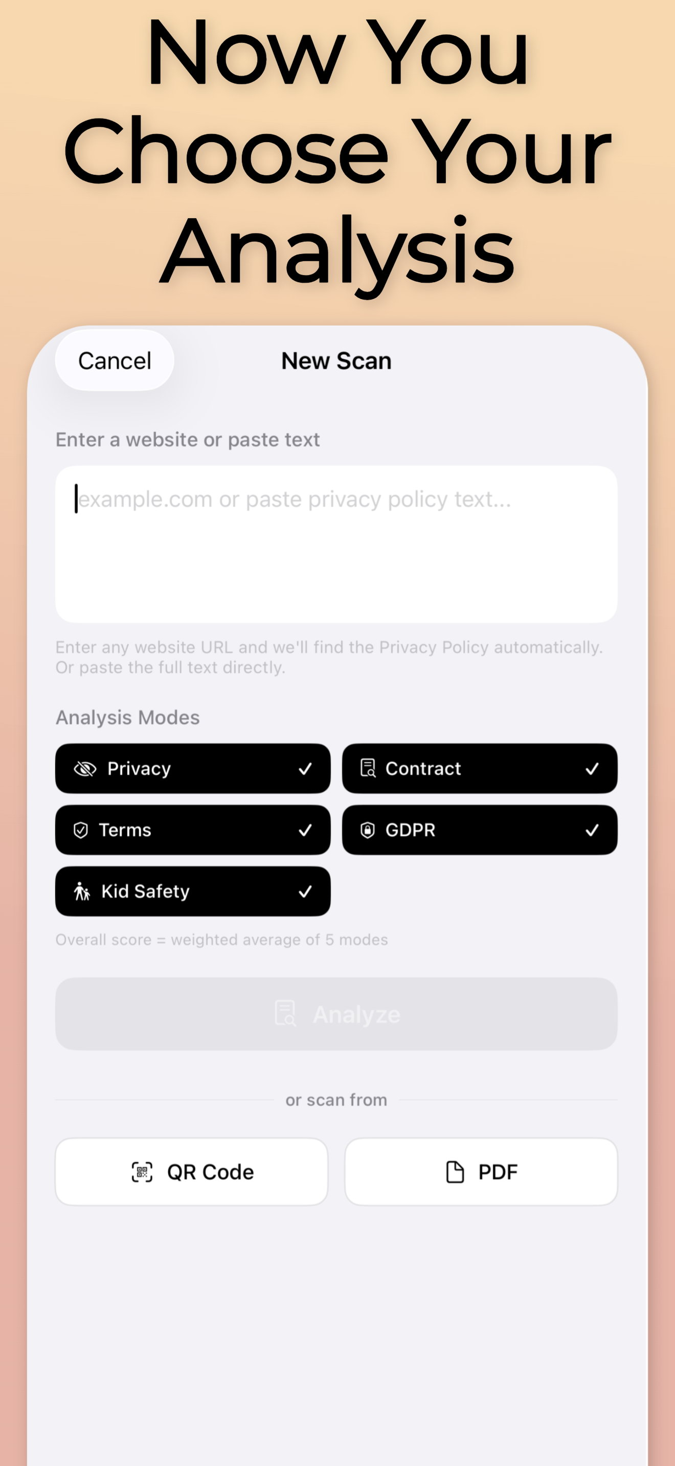 Avalw Vision — Privacy & Terms Scanner gallery image
